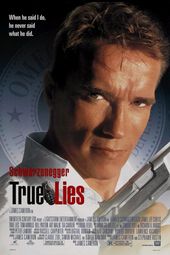 Mentiras Verdaderas (1994) poster